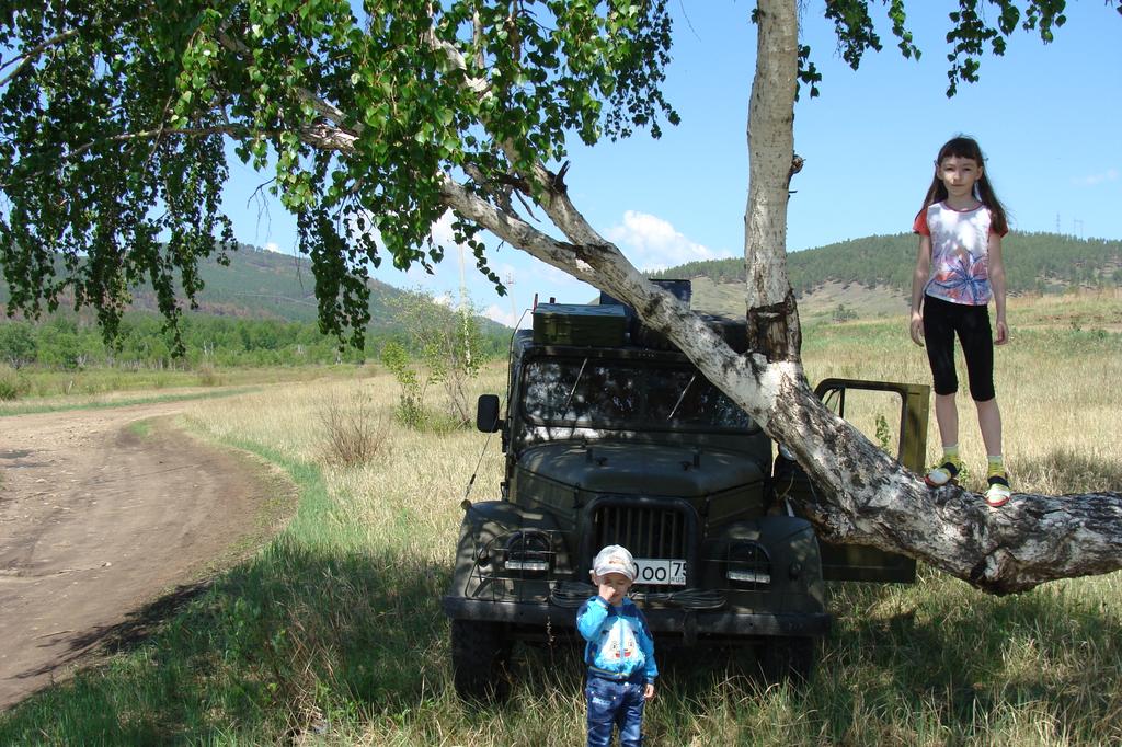 поле