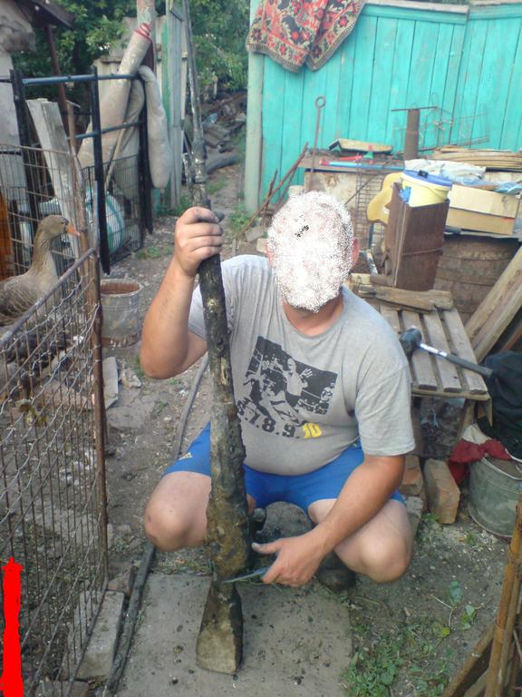 ЛЕС