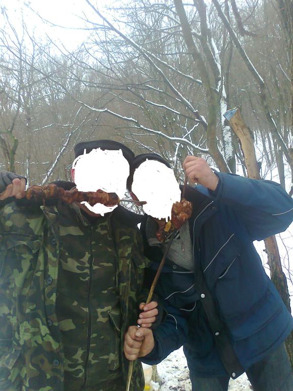ЛЕС
