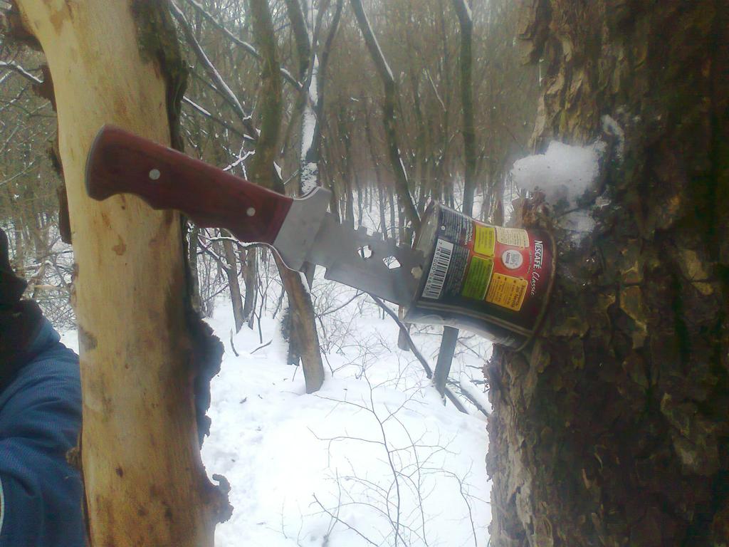ЛЕС