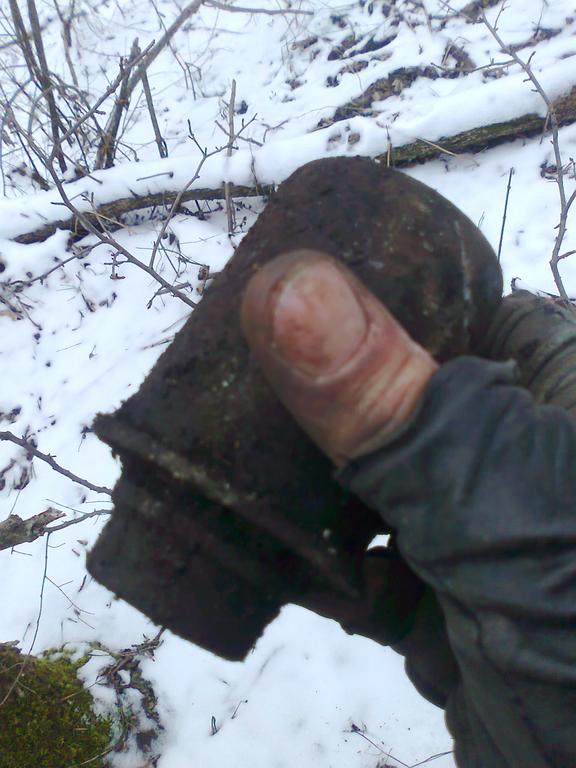 ЛЕС