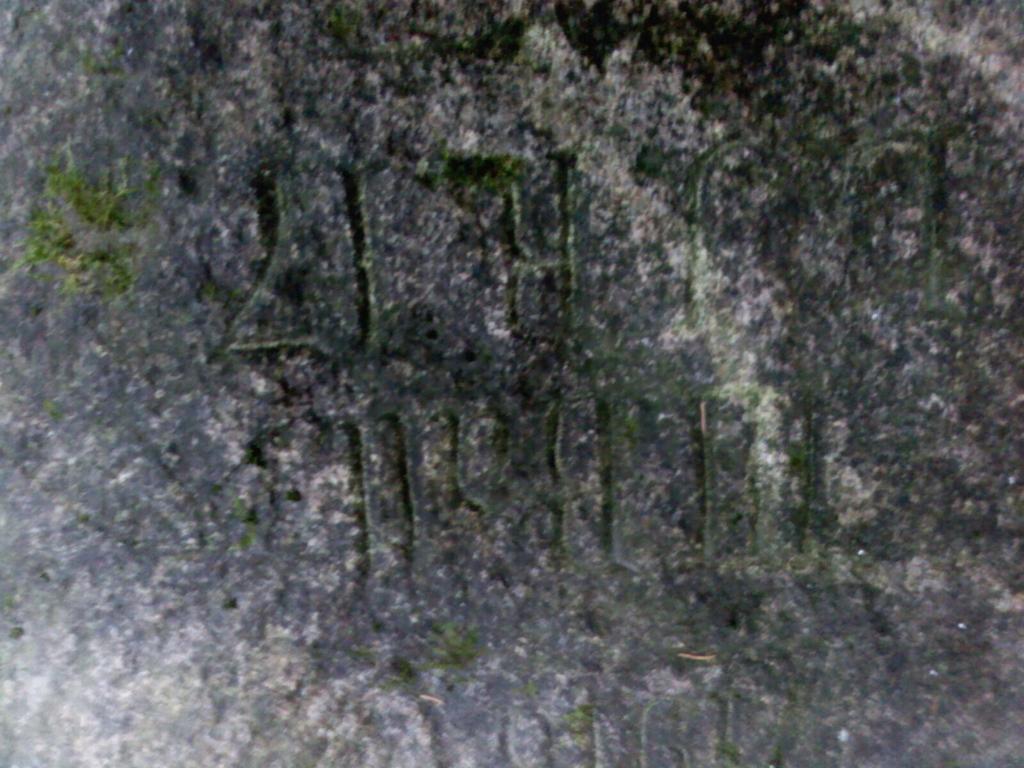 ЛЕС