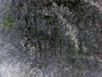 ЛЕС