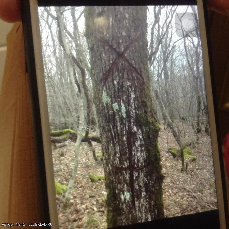 Левая створка 