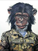 Солдат, он и в Африке солдат!