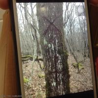 Левая створка 