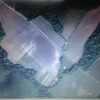 4 ярких пятна на полях 