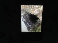 Покуда он древний ? 