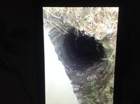 Покуда он древний ??