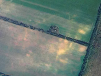 Собственно само это поле 