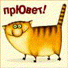 13938.gif