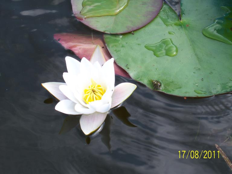 100_6517