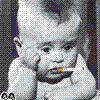 8085.gif