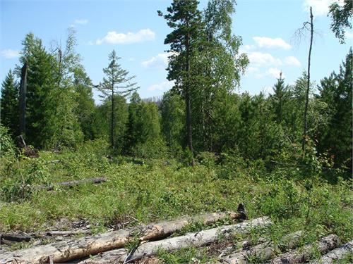 Фото 7