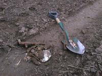 На выбитом-перевыбитом месте