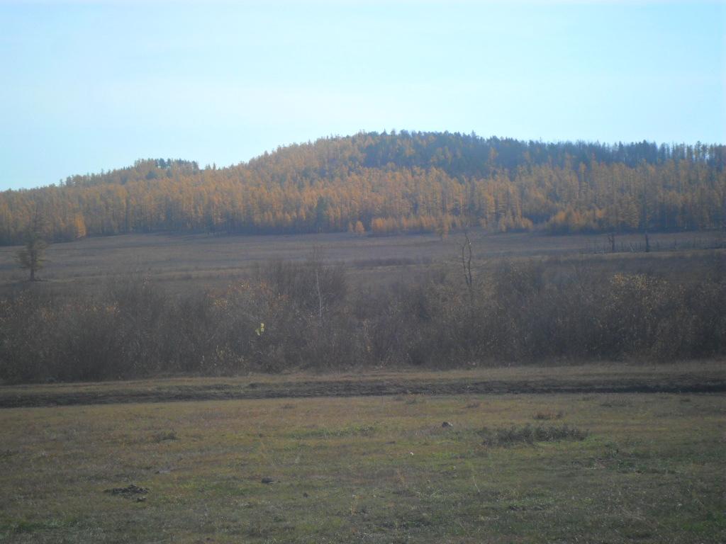Природа осень