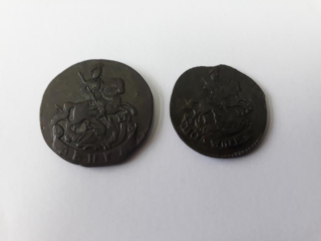 Кони чищенные