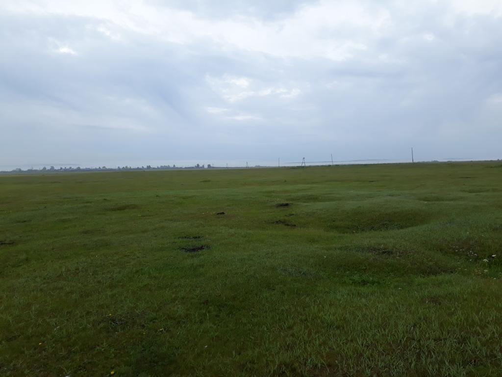 Поле на краю