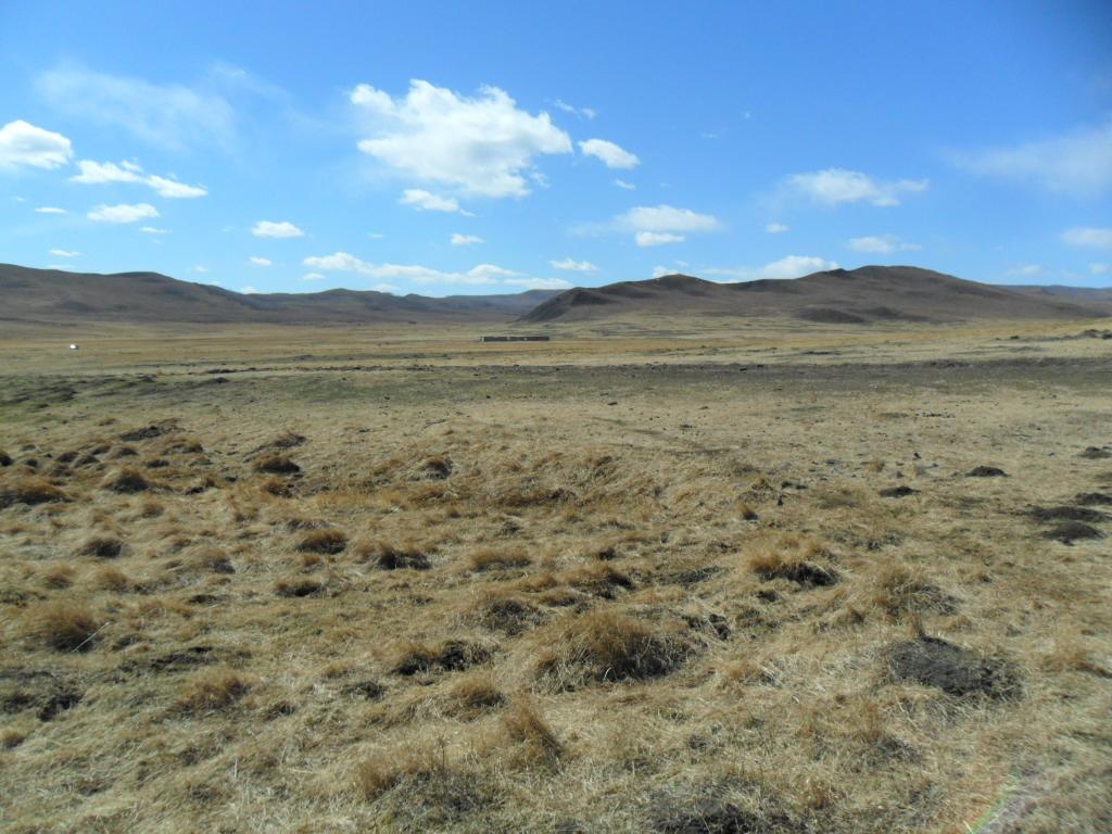 Весна, поле