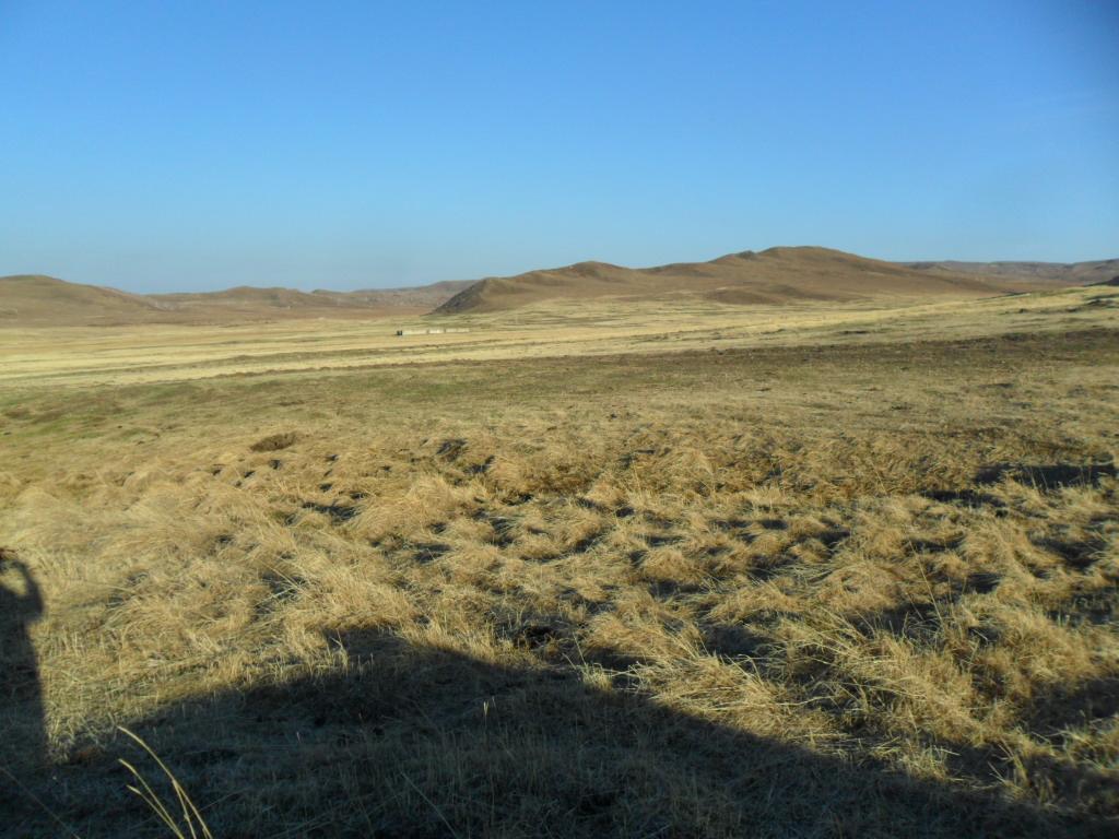 Весна, поле2