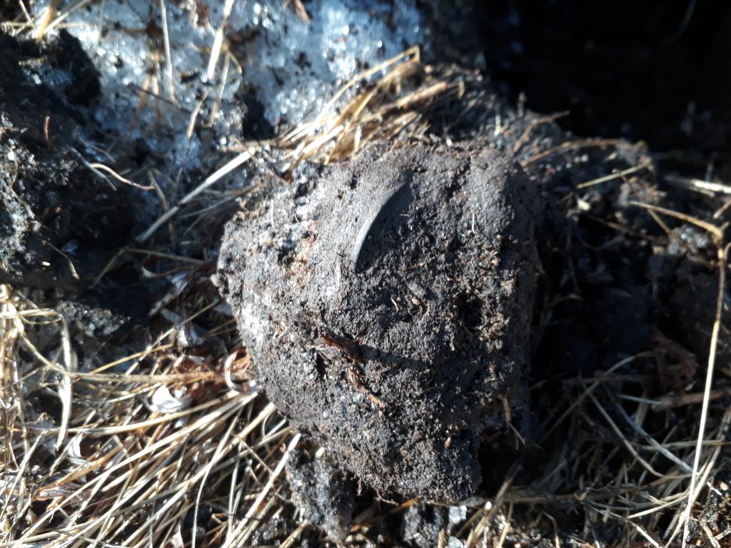 2 Монета земля