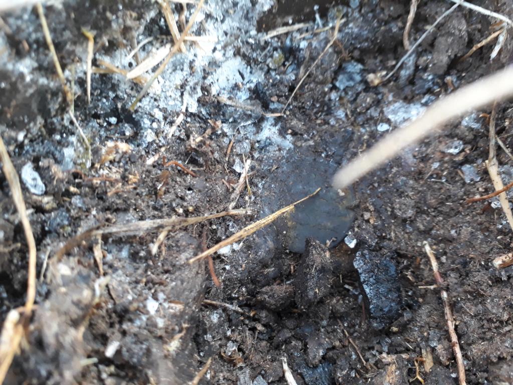 2 Монета земля