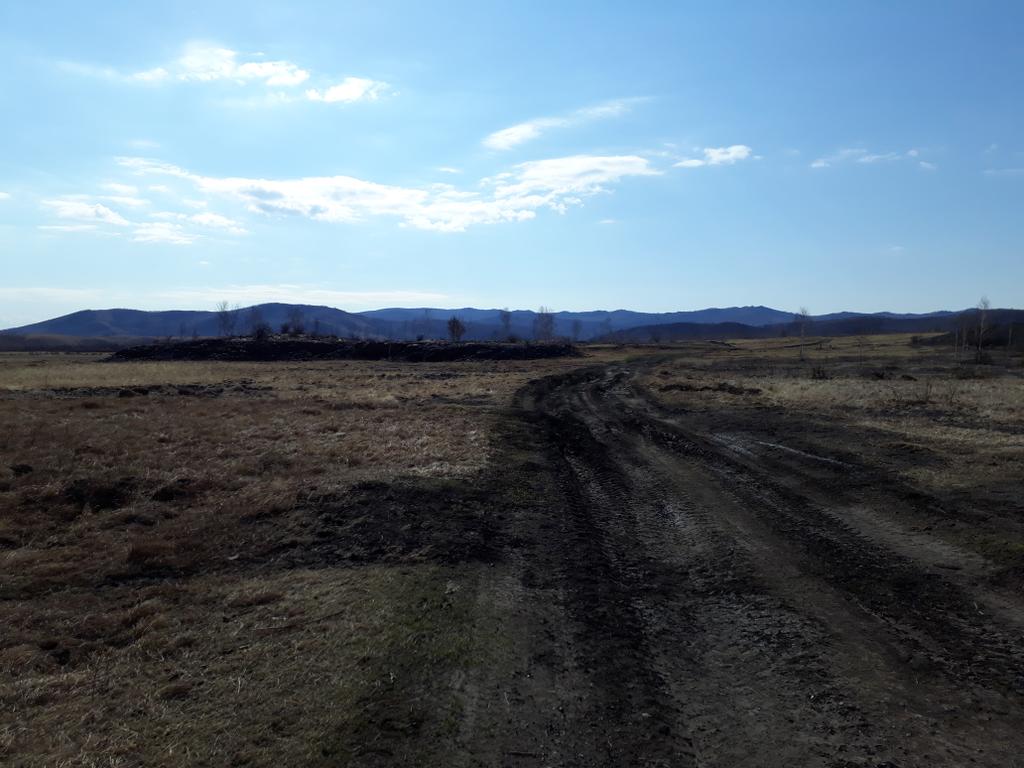 Дорога в поле