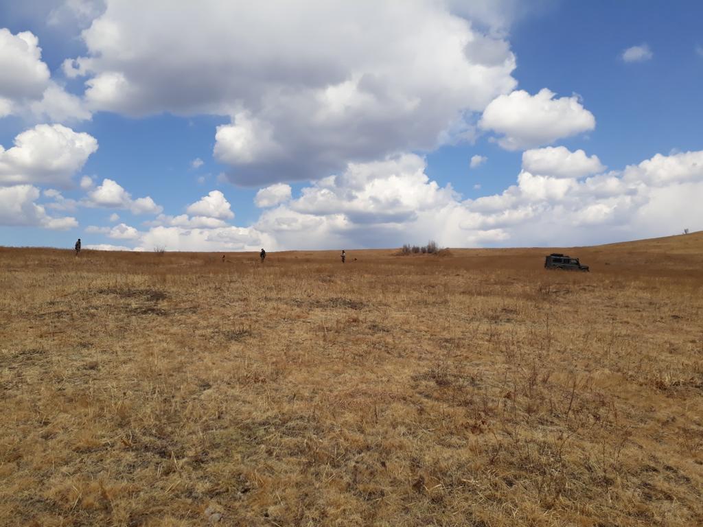 В поле в поиске