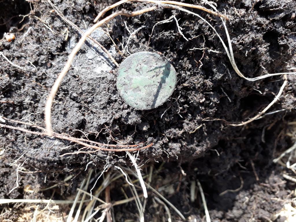 Деньга в поле