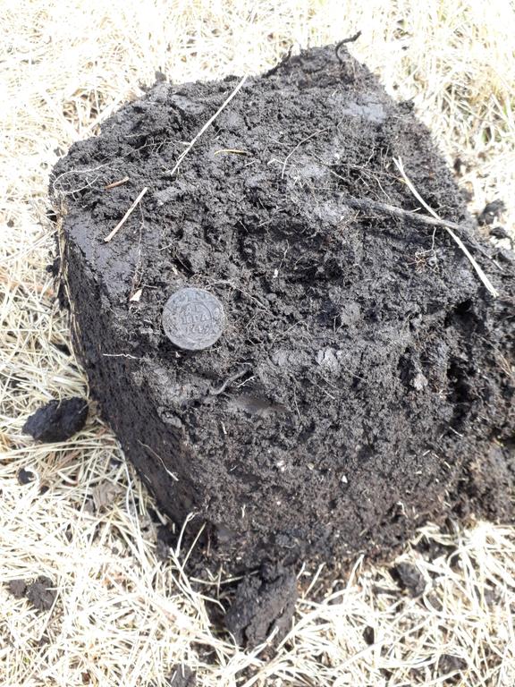 Еще деньга в поле