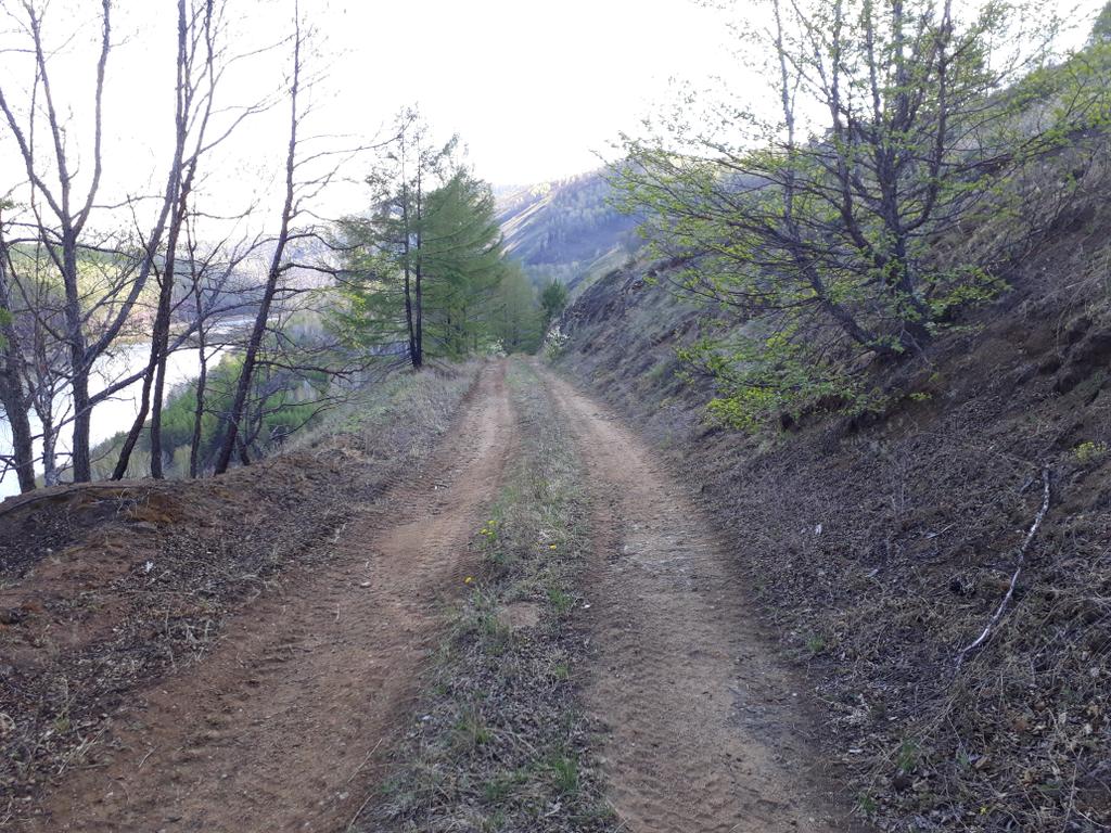 Дорого вдоль реки