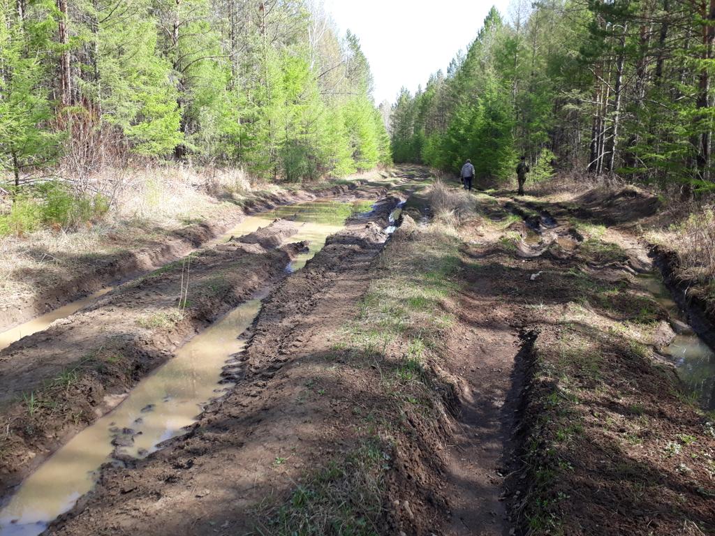 Дорога, бездорожье