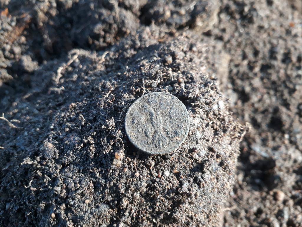 Монета орел