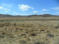 Весна, поле