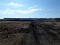 Дорога в поле