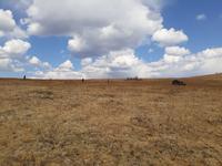 В поле в поиске