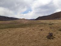 поле церковь