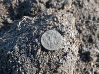 Монета орел