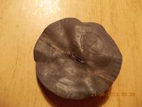 DSCN0264