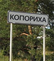 12964.jpg