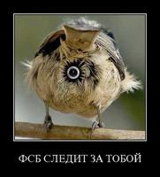 птичка