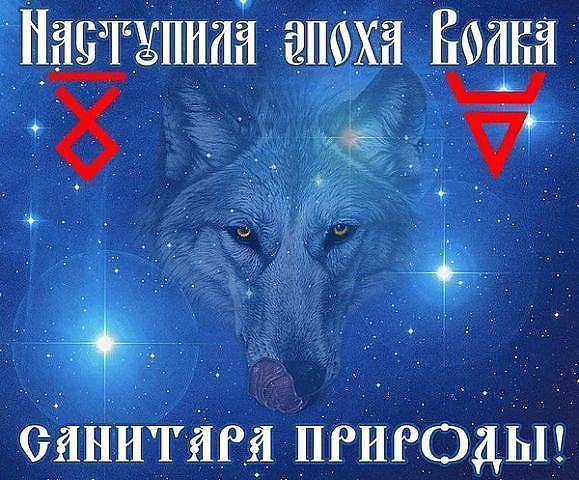 VOLK -EPOHA