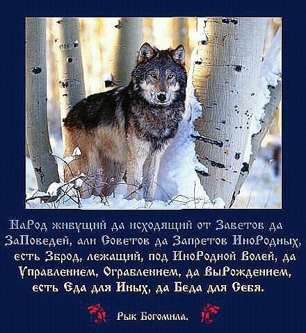 О наРОДе
