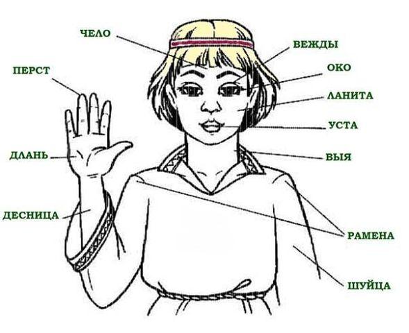ТАК ВЕРНО