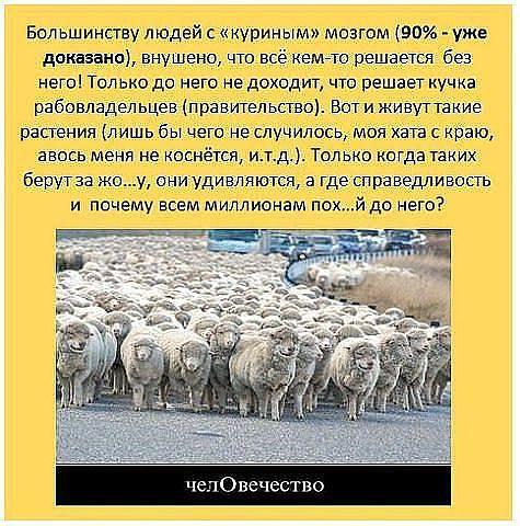 чел   ОВЕЧЕСТВО