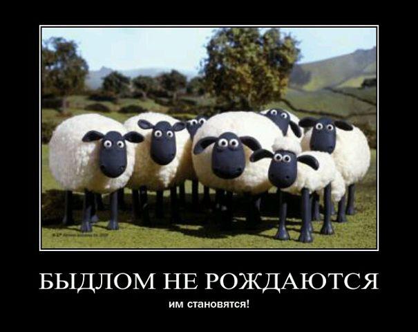 БЫДЛО