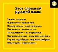 ЯЗЫК НАШ СЛОЖЕН