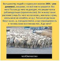 чел   ОВЕЧЕСТВО