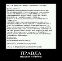 СТРАШНАЯ ПРАВДА