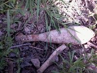 Опасная находка